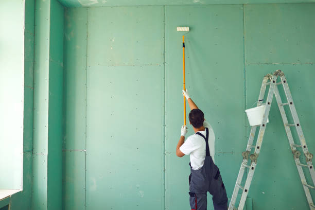 Best Environmental Consulting for Mold Prevention  in Maplewood, MO