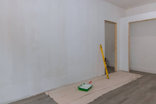 Reliable Maplewood, MO Mold Removal Solutions