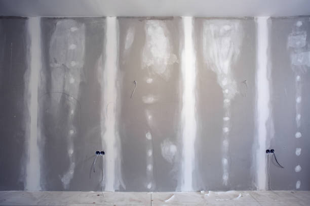 Best Attic Mold Removal  in Maplewood, MO